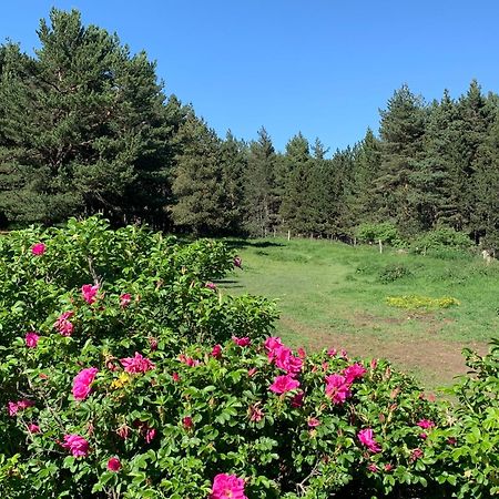 Gite Ranch Le Serpolet Les Angles  Eksteriør bilde