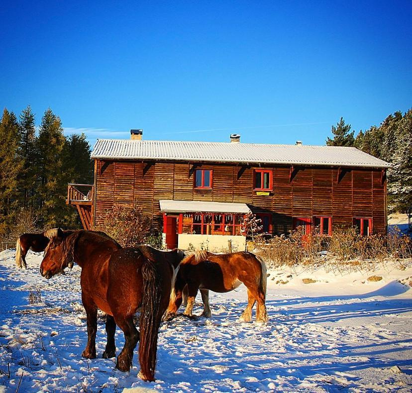 Gite Ranch Le Serpolet Les Angles  Eksteriør bilde