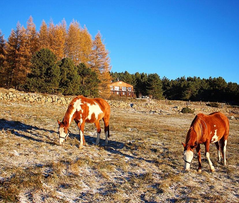 Gite Ranch Le Serpolet Les Angles  Eksteriør bilde