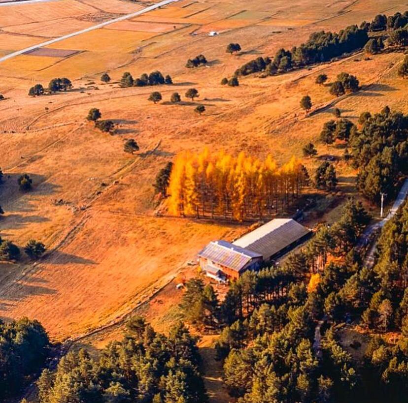 Gite Ranch Le Serpolet Les Angles  Eksteriør bilde