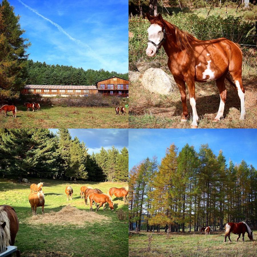 Gite Ranch Le Serpolet Les Angles  Eksteriør bilde