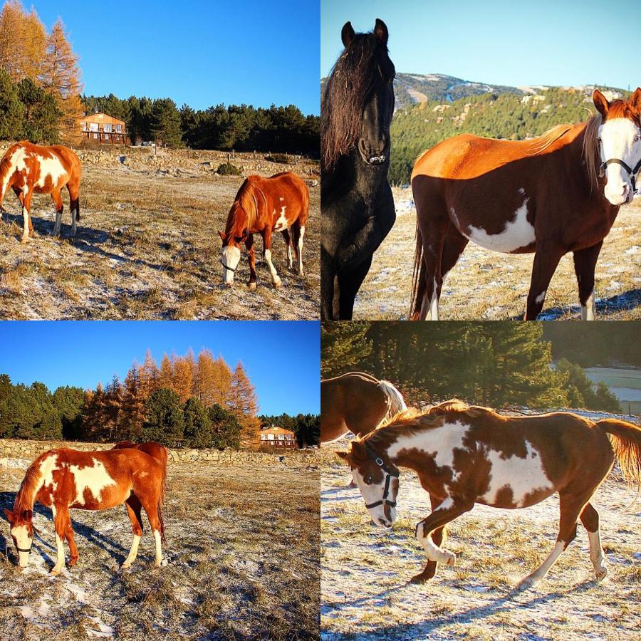 Gite Ranch Le Serpolet Les Angles  Eksteriør bilde