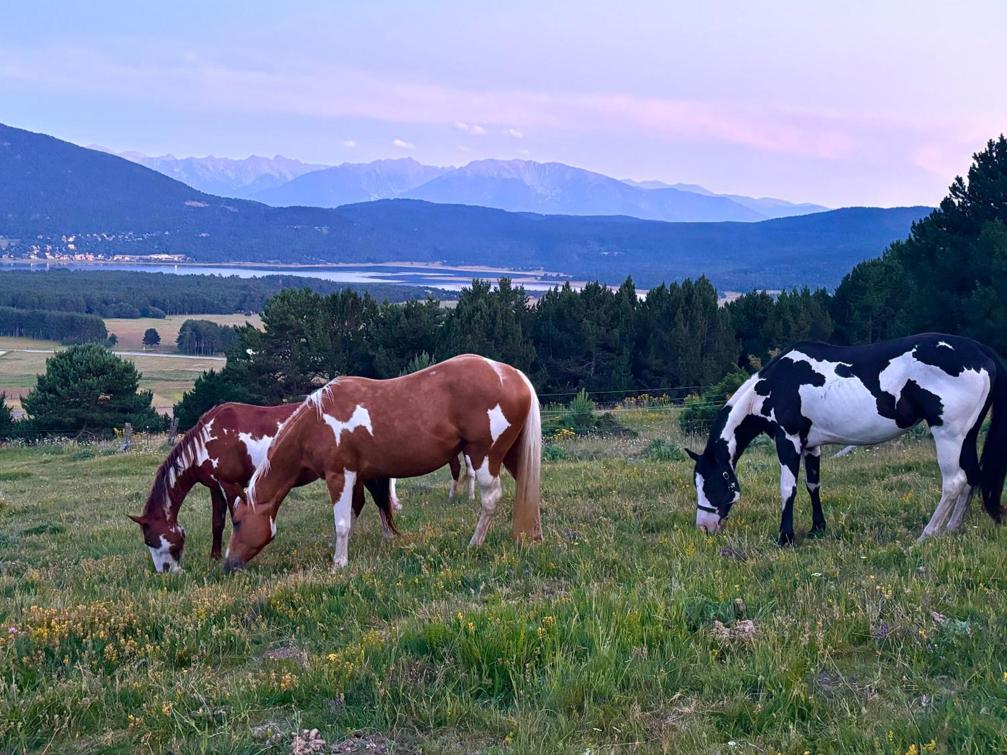 Gite Ranch Le Serpolet Les Angles  Eksteriør bilde